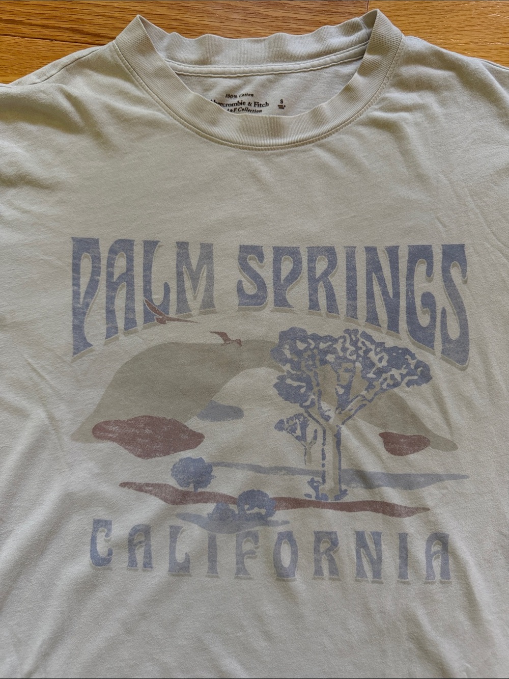 Abercrombie & Fitch Vintage-inspired Palm Springs California Oversized Fit Tee